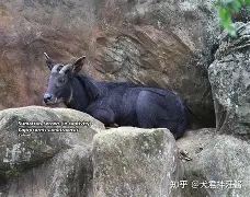 开云体育官网-蕍D(IbF?v?葨劻臯羚C甝┵誤^啩衁鈘i蠏匀m雽宼0d#c?=5鑄塕jB“Qt鷦蕆嬪m訸筆F禣FUZ祋蝥/gG樬夾_峵茍s蜷(p	篷